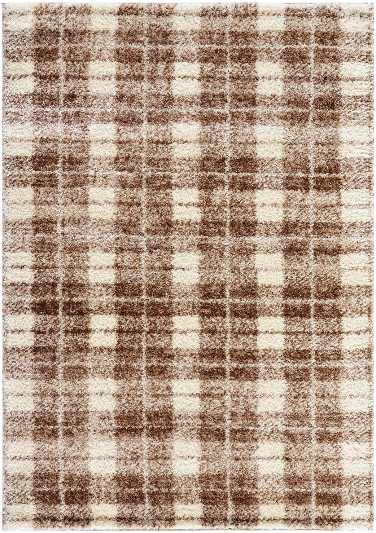 Anfisa Beige Luxe Shag Area Rug