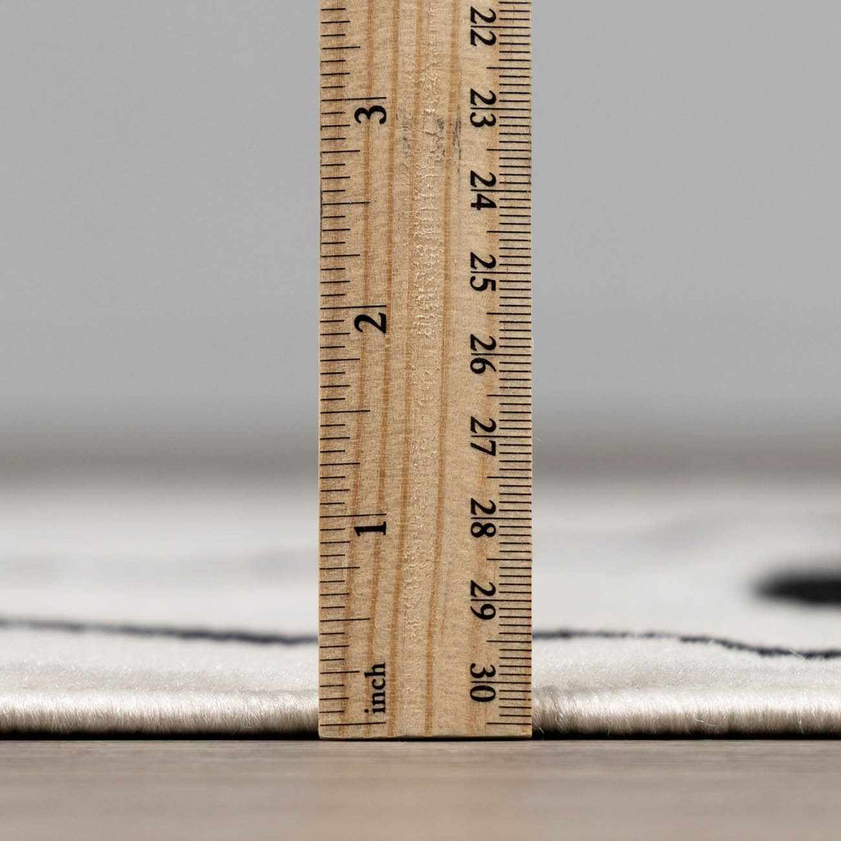 Eilir Modern Low Profile Boho Rug