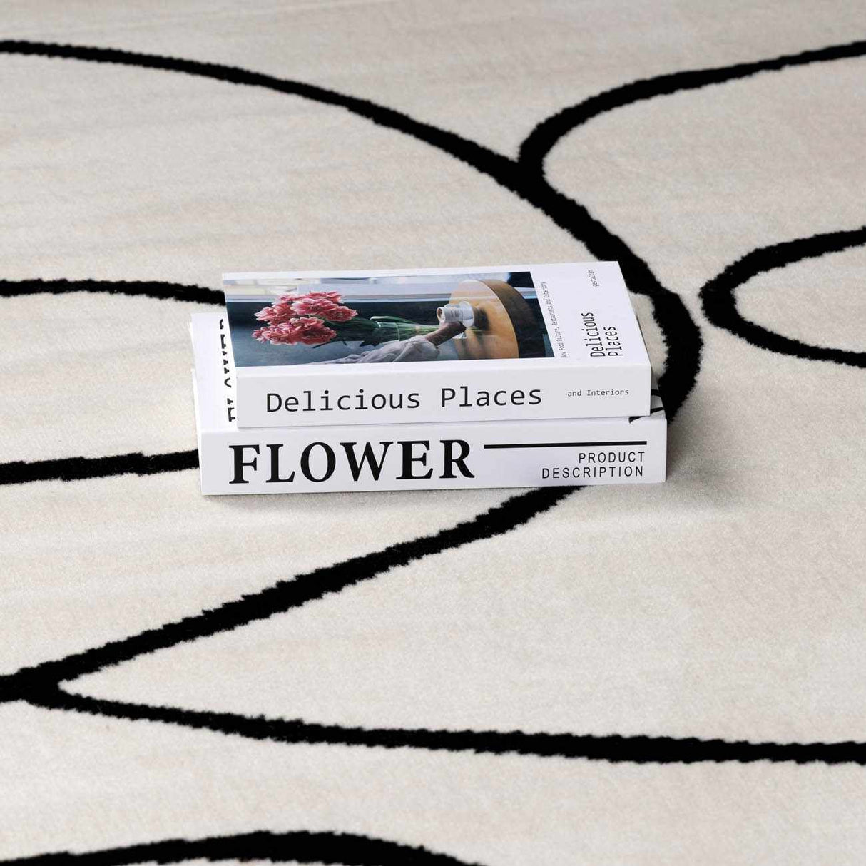 Eilir Modern Low Profile Boho Rug