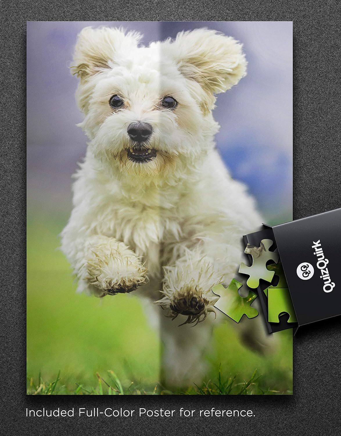 QuizQuirk 500 Piece Puzzle, Jumping Dog Jigsaw Puzzle for Adults/Teens (Puzzle Saver Kit Included)
