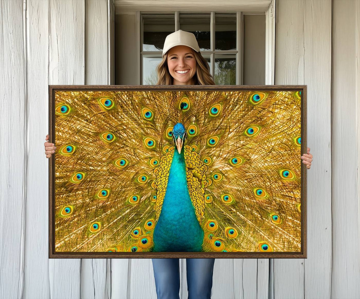 Peacock Wall Art Canvas Print