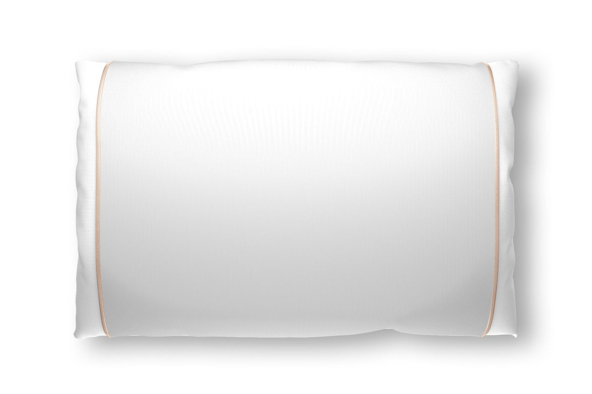 Champagne Silk Pillow Sleeve