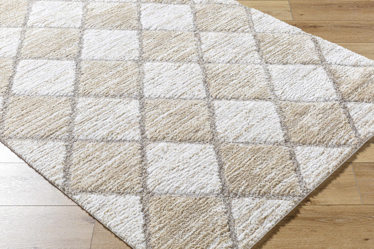 Aideen Cream Shag Area Rug - Clearance