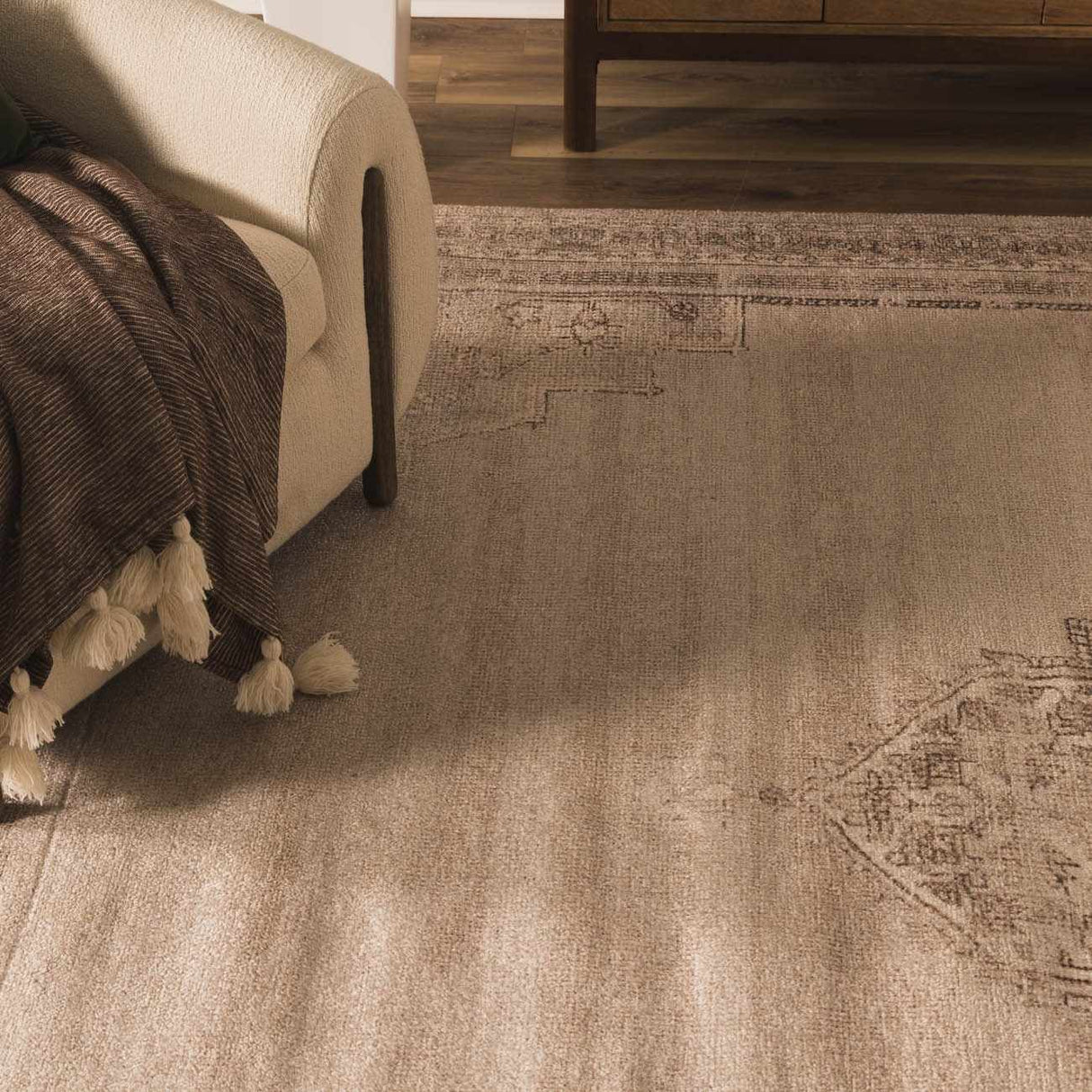 Luciana III Traditional Medallion Area Rug