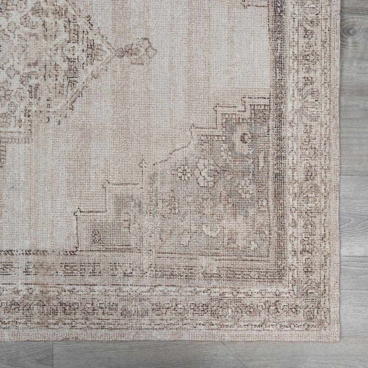 Luciana III Traditional Medallion Area Rug