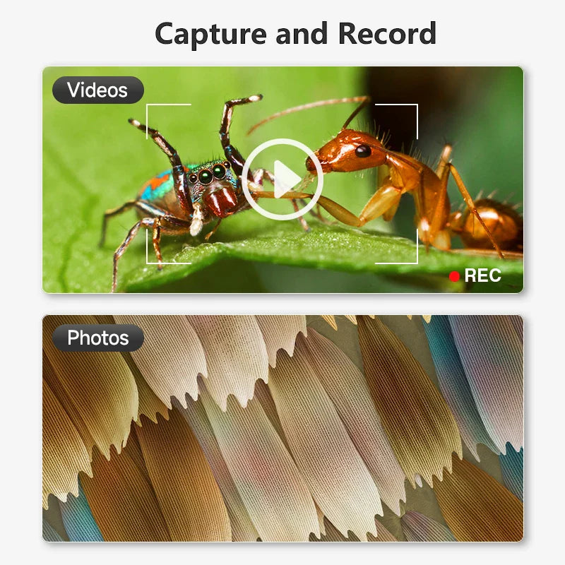 1600X USB Digital Microscope 1080P HD with 8 LED for Soldering Repair