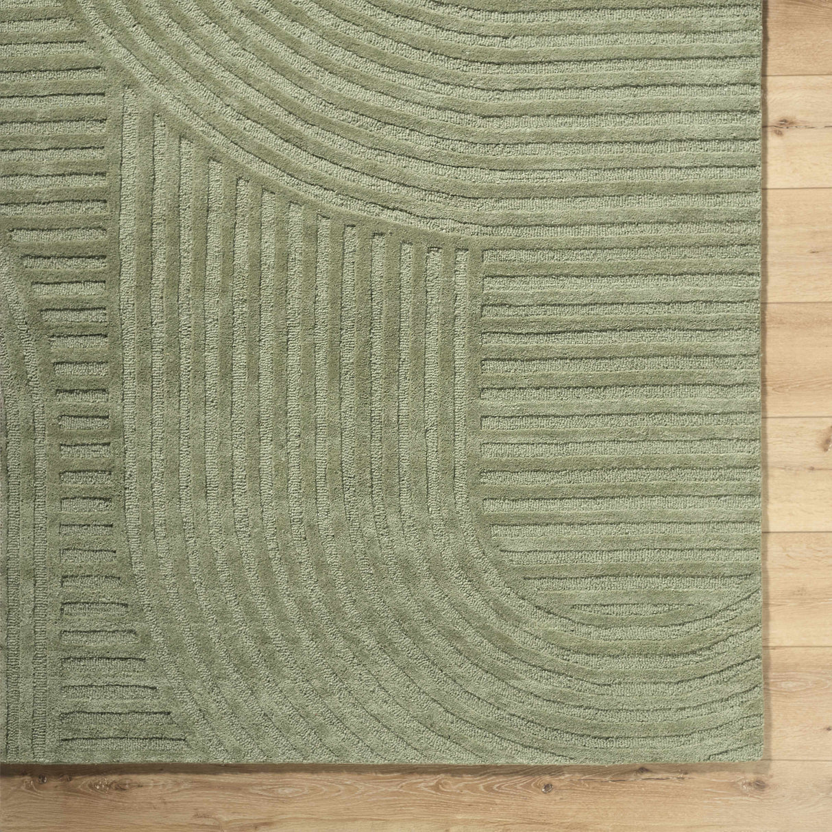 Whan Sage Area Rug