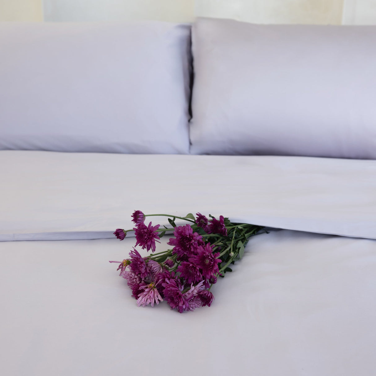 Organic Bamboo Sateen Bed Sheet Set