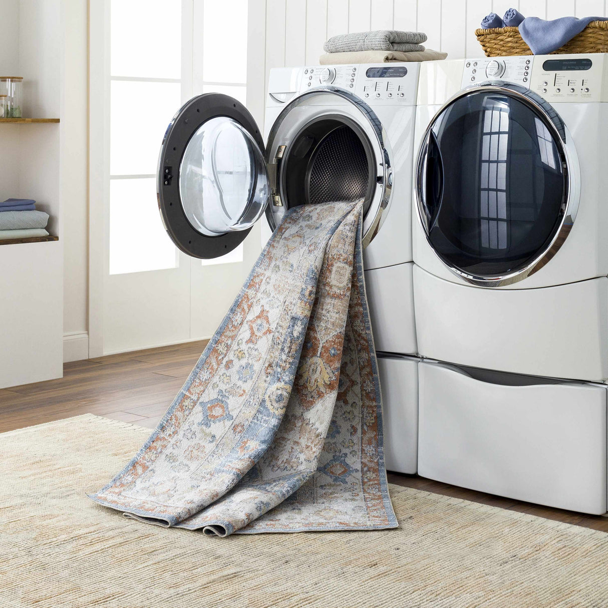 Ebbe Washable Area Rug - Clearance