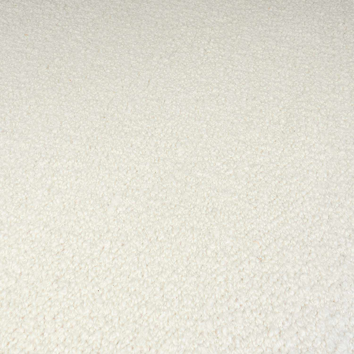 Niabi Area Rug - Clearance