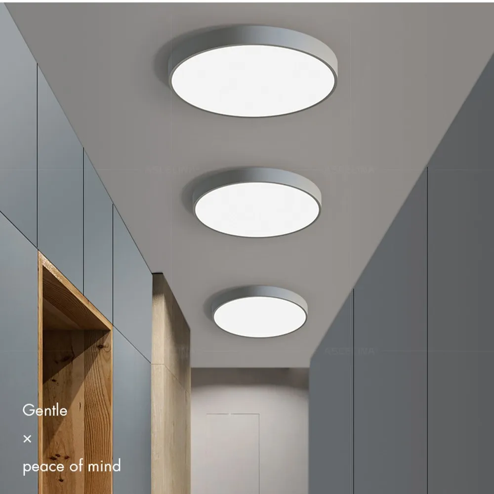 Modern Minimalist Round LED Ceiling Light 1-Light Indoor Hardwired
