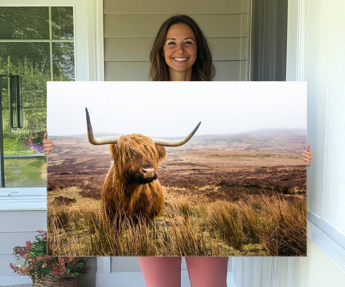 Scottish Highland Cow Cattle Art Print Farmhouse Wall Art
