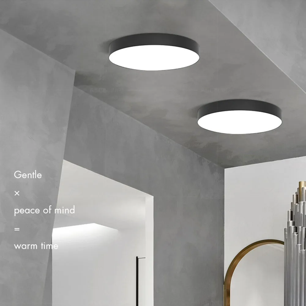 Modern Minimalist Round LED Ceiling Light 1-Light Indoor Hardwired