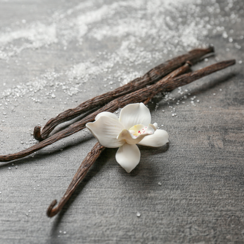 Vanilla Bean Dream Soy Candle