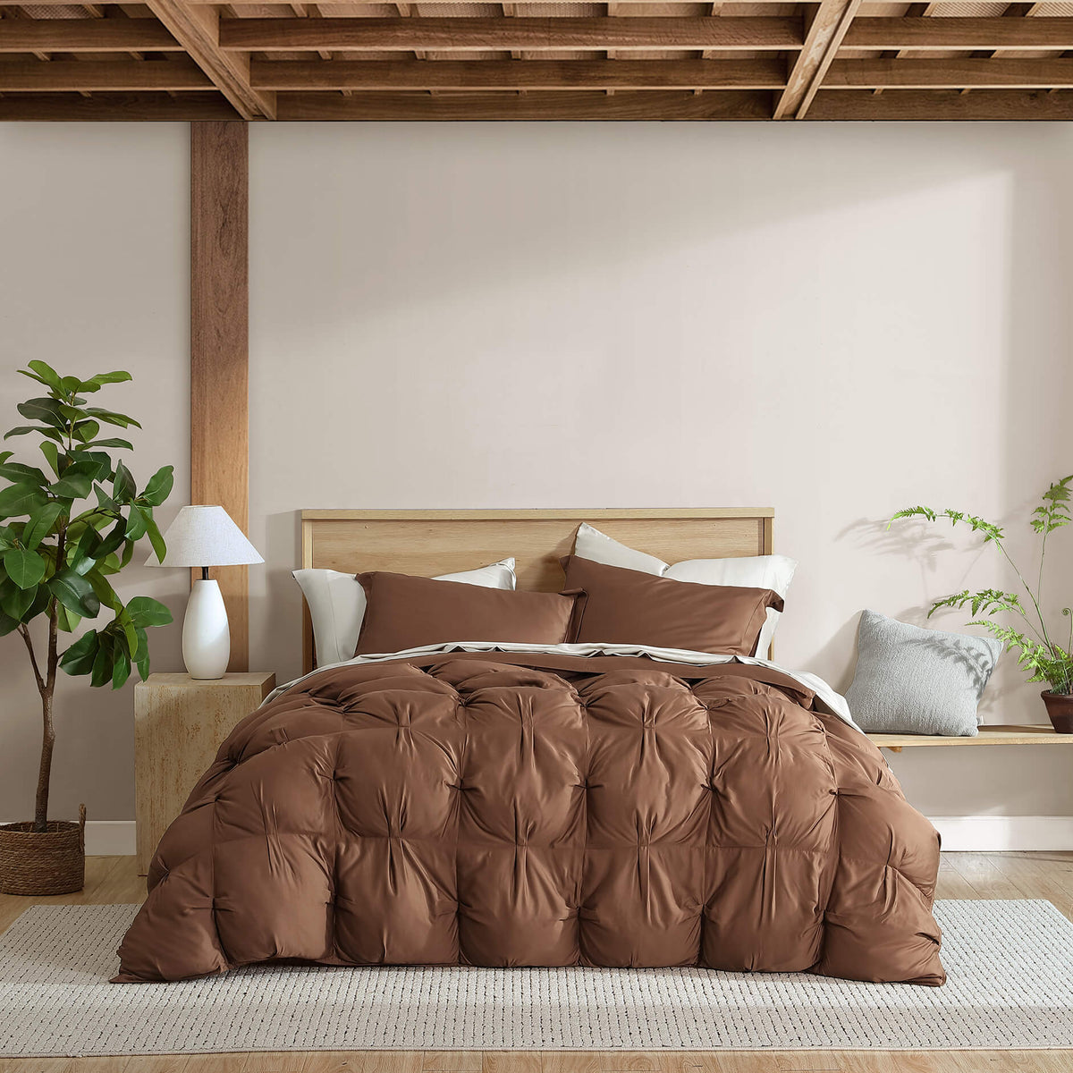 Premium Lumière Sham Set