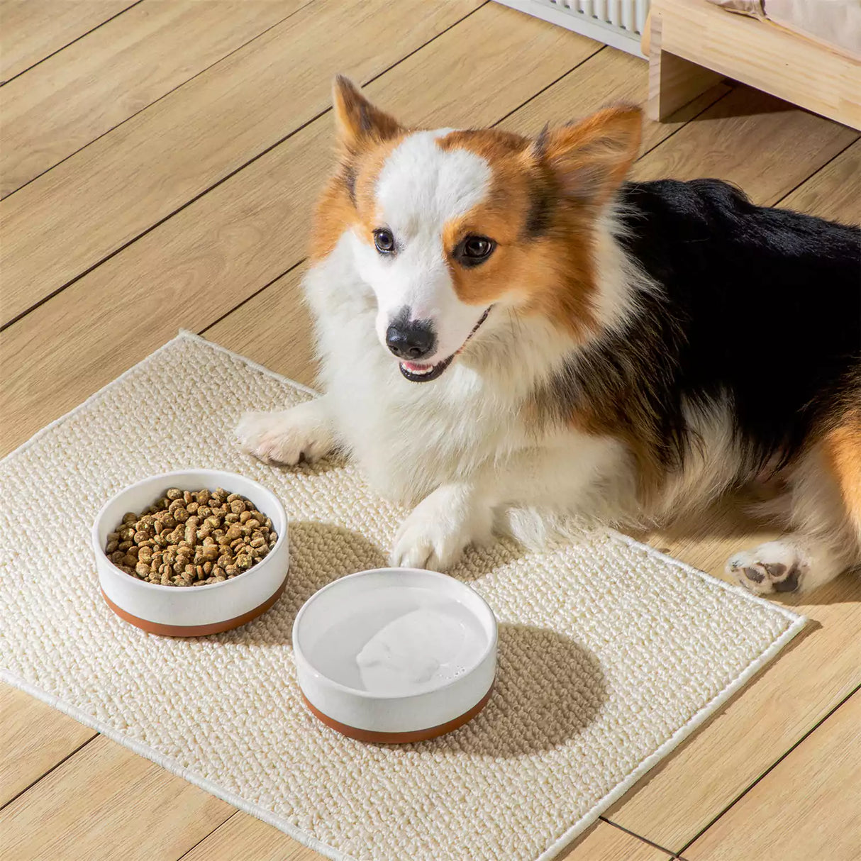 Tara Dog Bowls