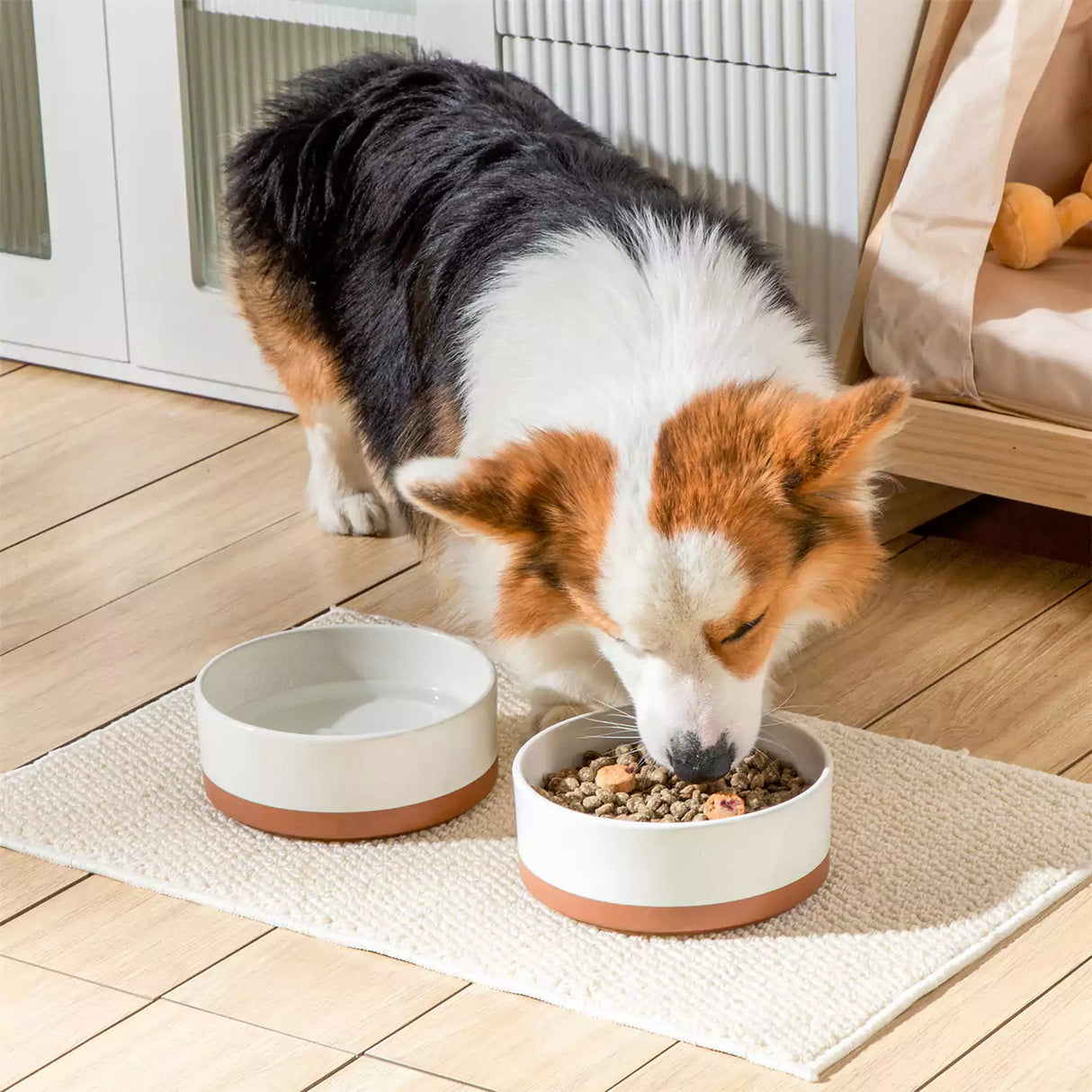 Tara Dog Bowls