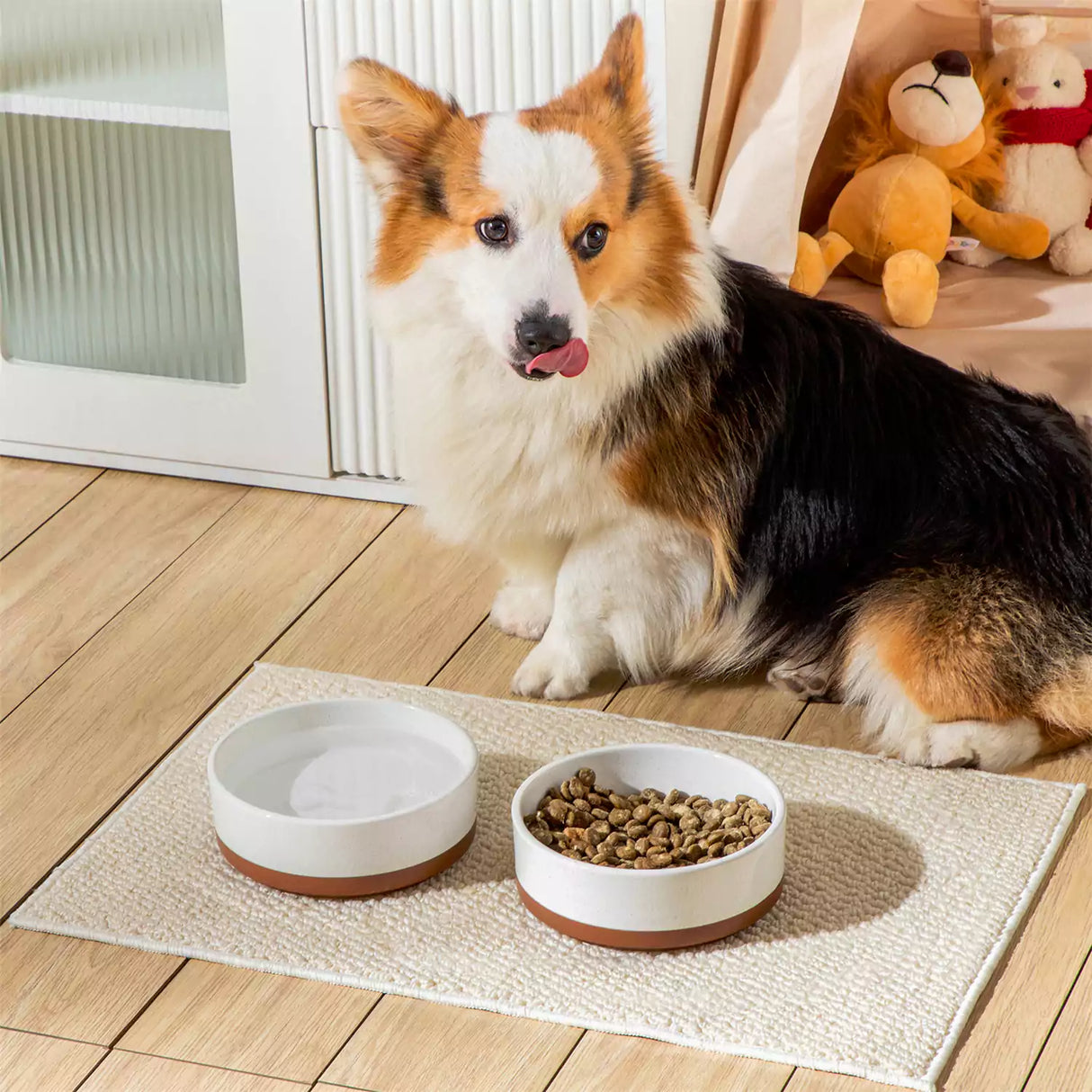 Tara Dog Bowls
