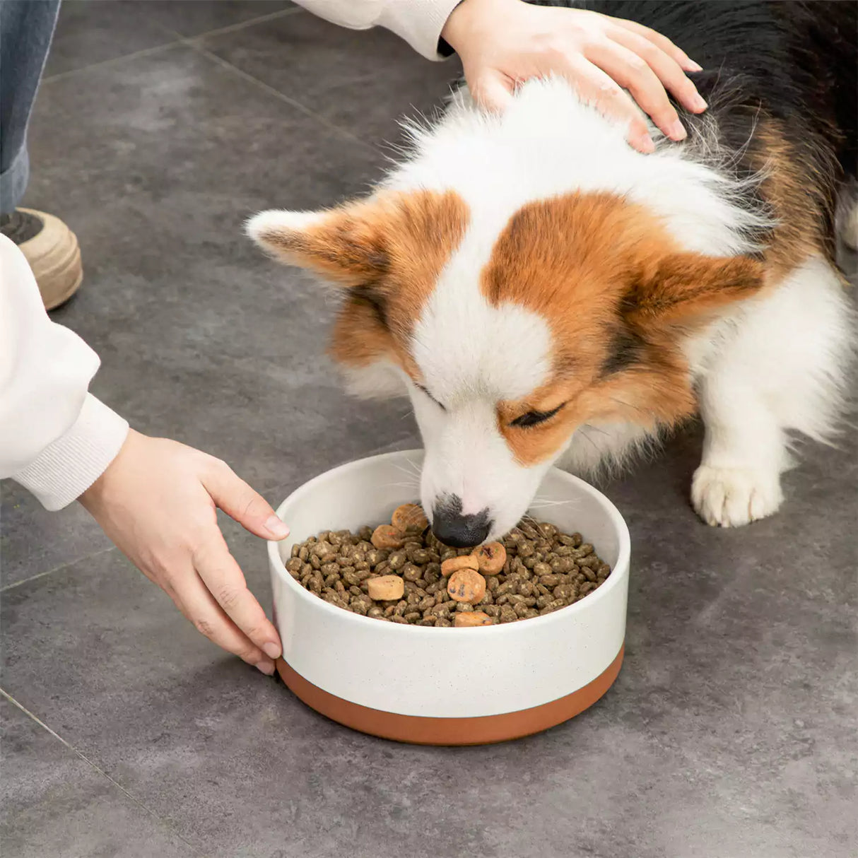 Tara Dog Bowls