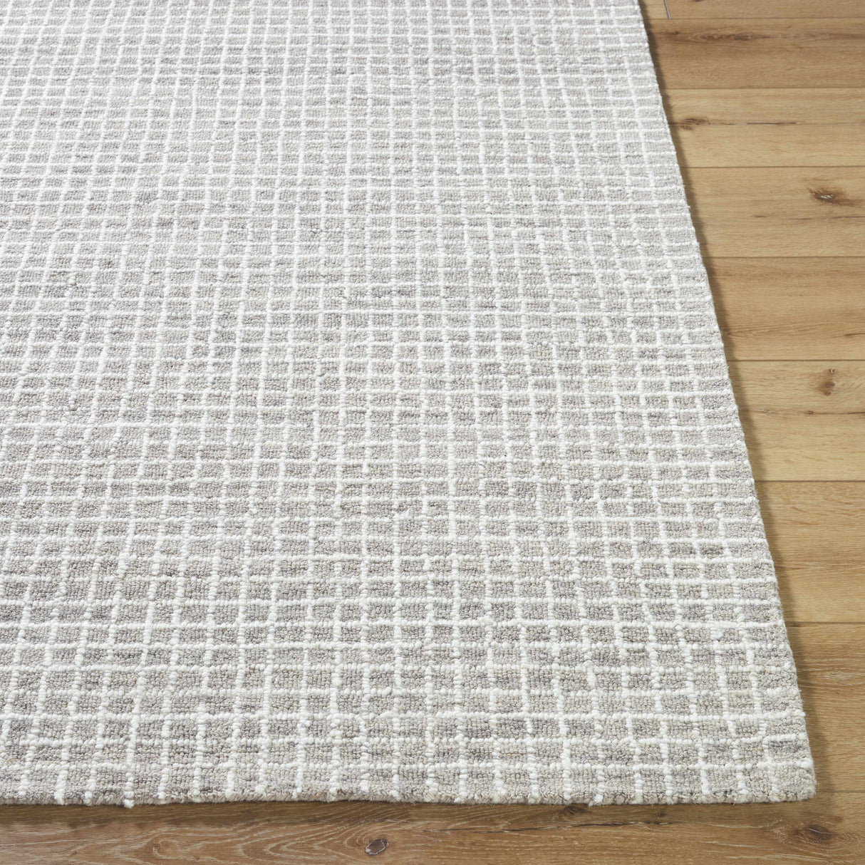 Anahid Gray Area Rug
