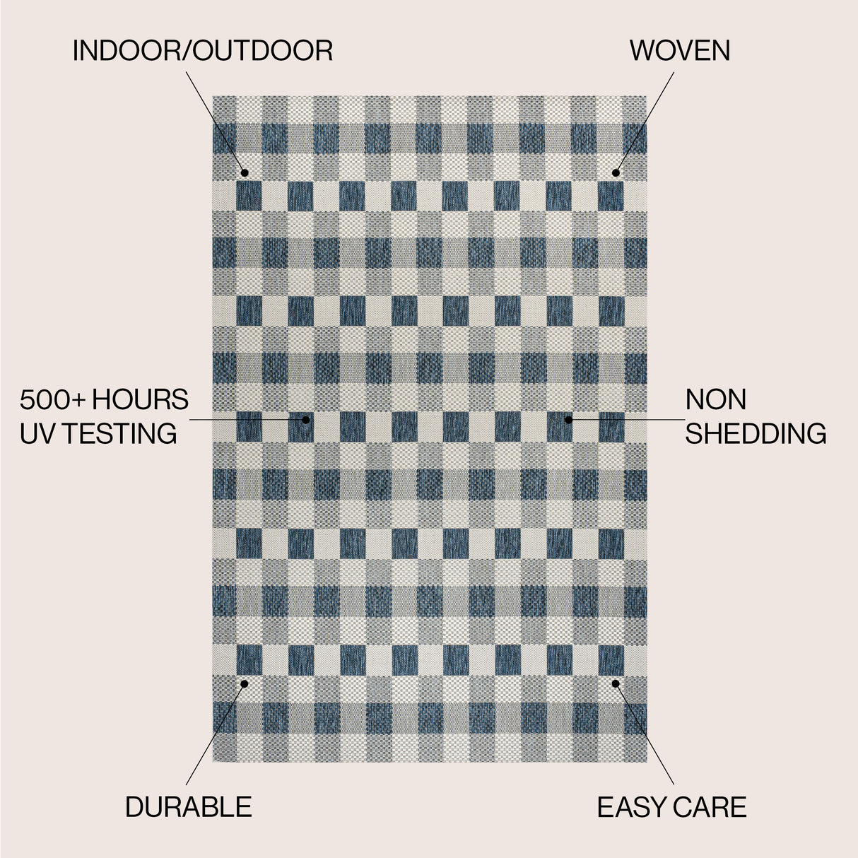 Darcy Traditional Geometric Simple Gingham Indoor/Outdoor Area Rug
