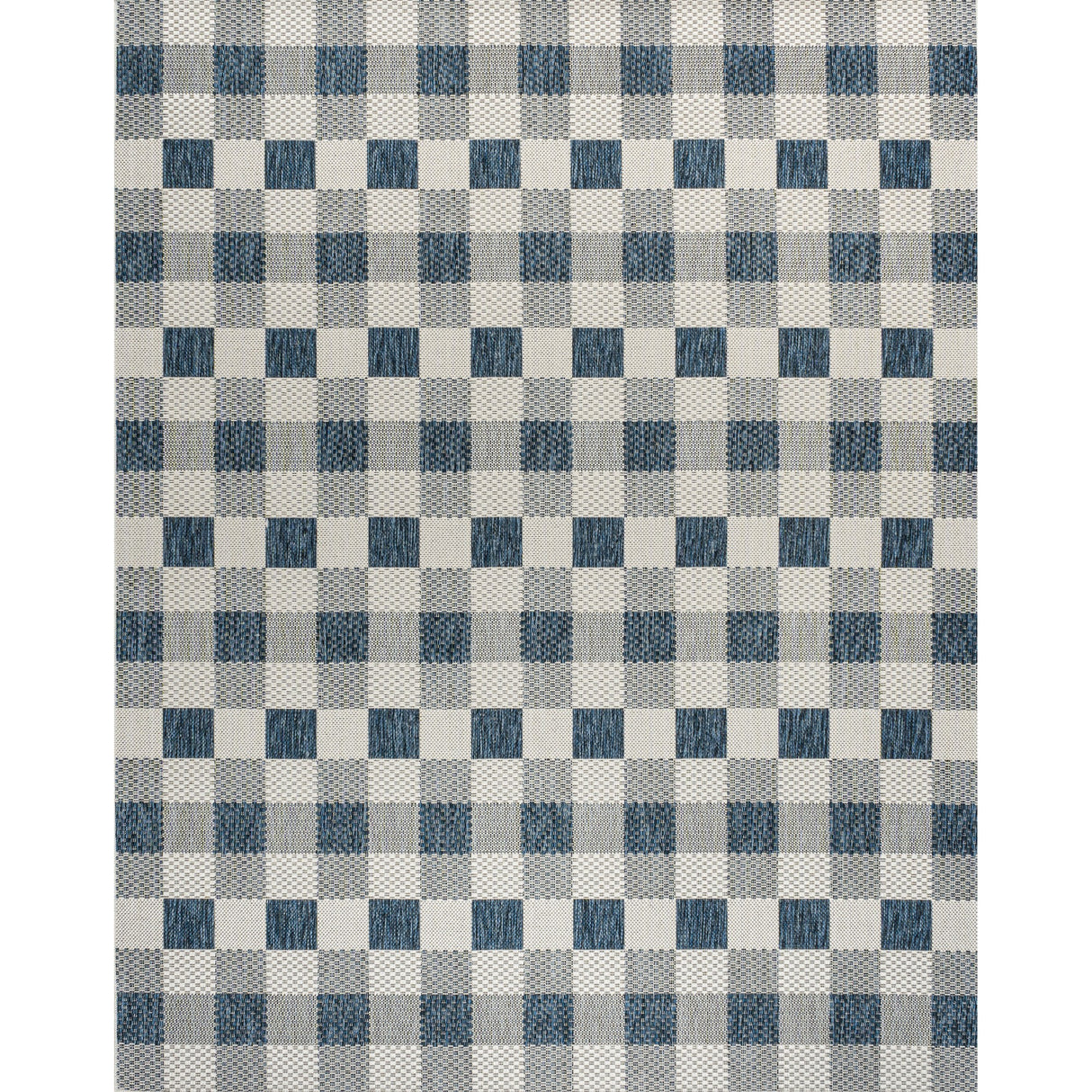 Darcy Traditional Geometric Simple Gingham Indoor/Outdoor Area Rug