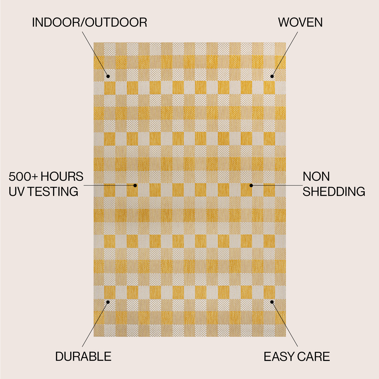 Darcy Traditional Geometric Simple Gingham Indoor/Outdoor Area Rug