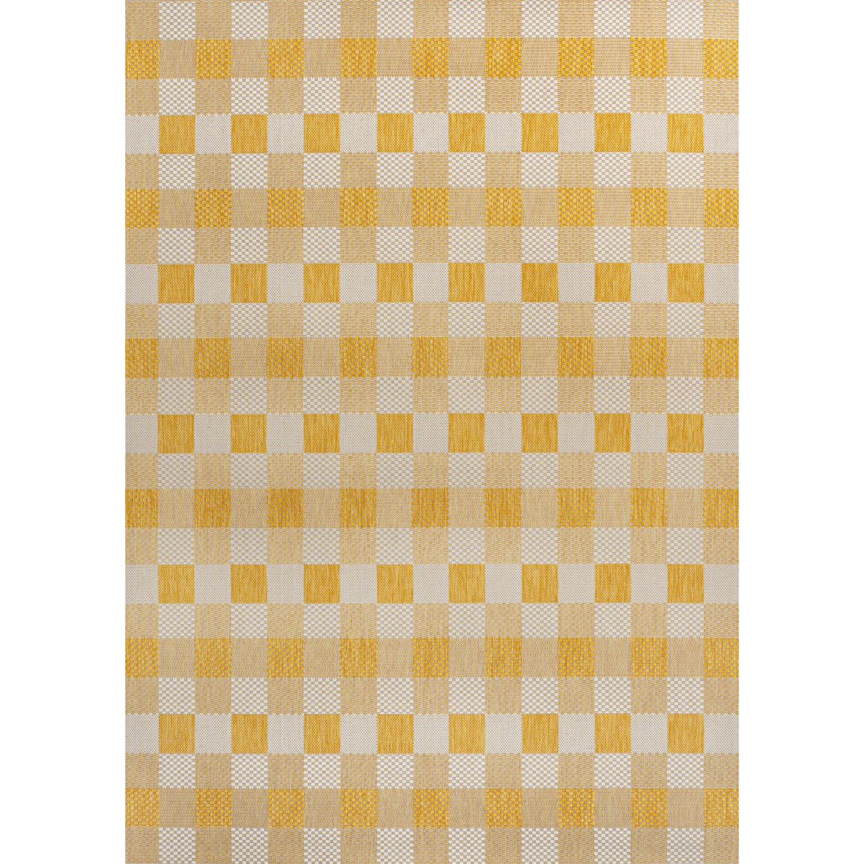 Darcy Traditional Geometric Simple Gingham Indoor/Outdoor Area Rug