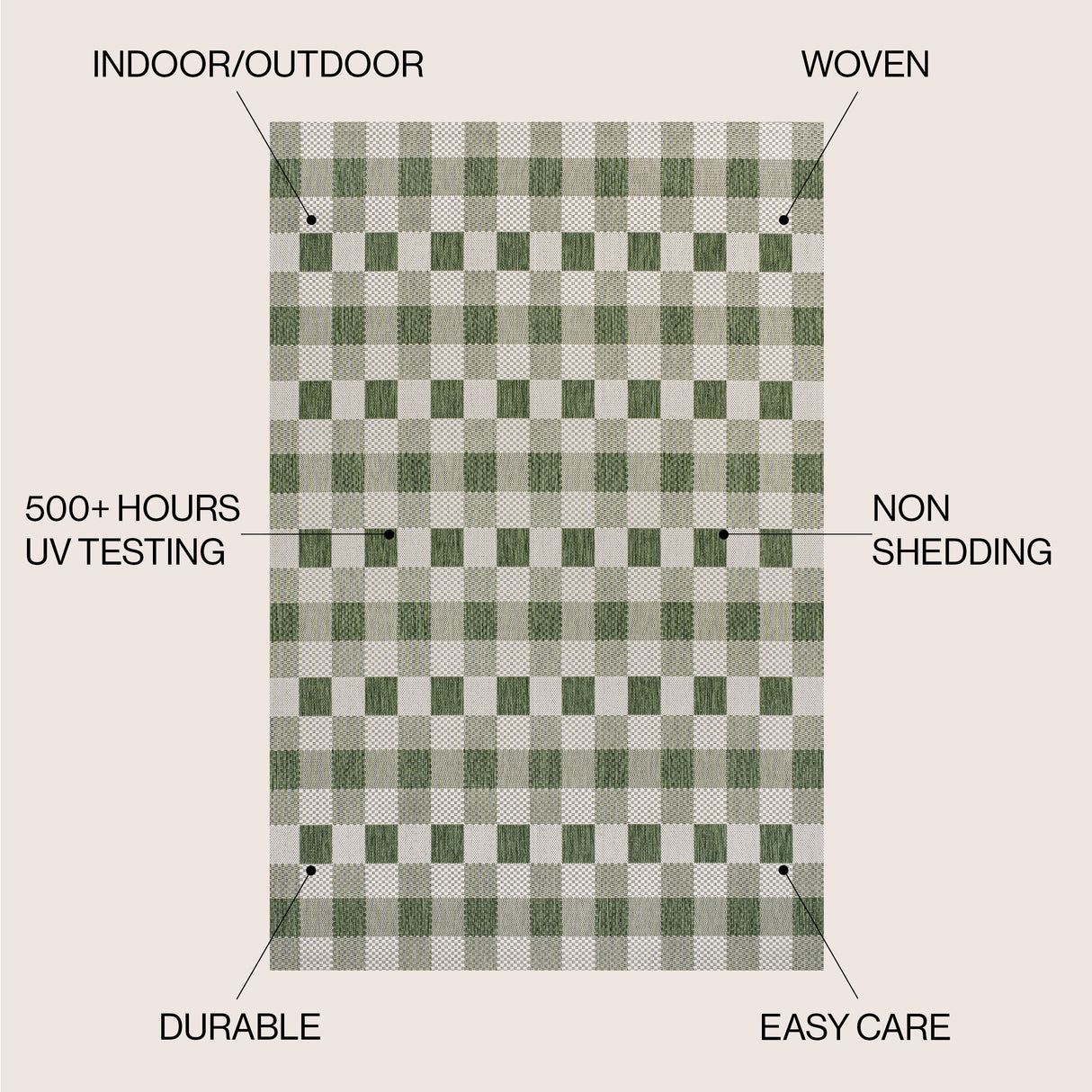 Darcy Traditional Geometric Simple Gingham Indoor/Outdoor Area Rug
