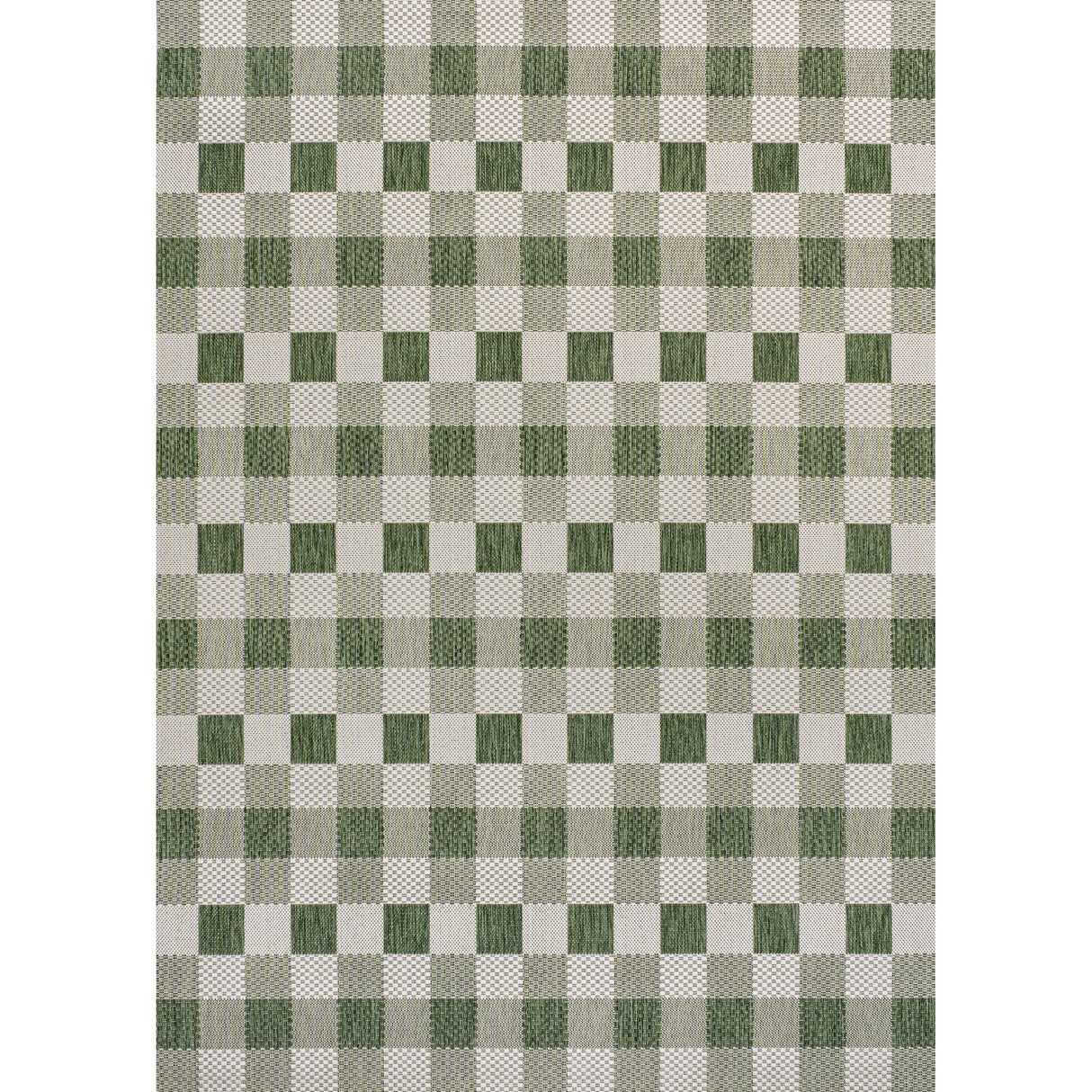 Darcy Traditional Geometric Simple Gingham Indoor/Outdoor Area Rug