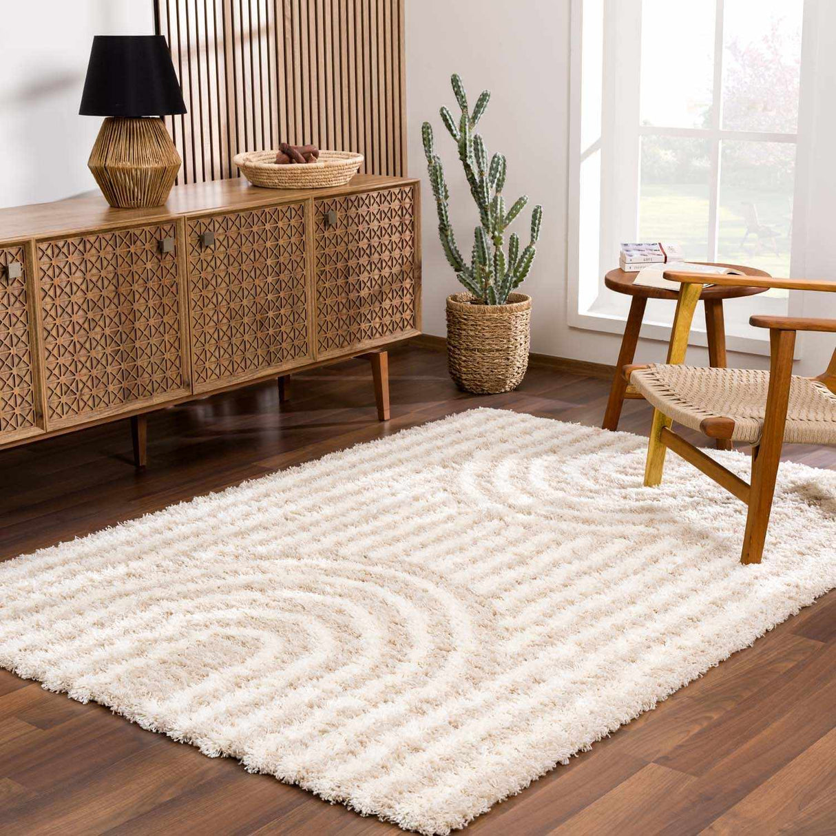 Emmly Shag Area Rug