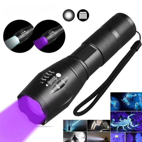 2-in-1-UV-Flashlight-395nm-Type-C-Rechargeable-Blacklight-Pet-Stain-Detection-Handheld-Torches