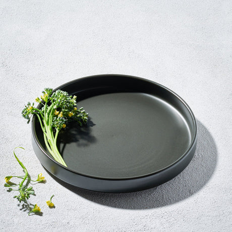 Bolt, Round Matte Modern Plate-Set of 4