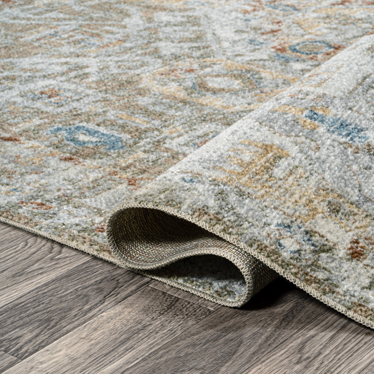 Shaemus Bohemian Medallion Low-Pile Machine-Washable Area Rug