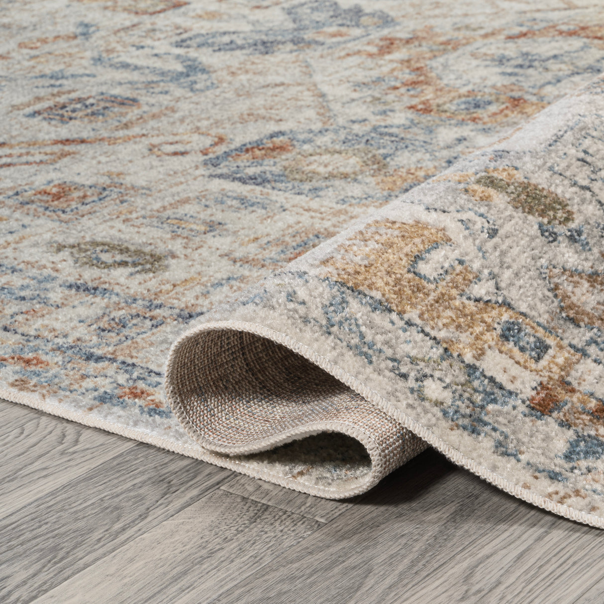 Shaemus Bohemian Medallion Low-Pile Machine-Washable Area Rug