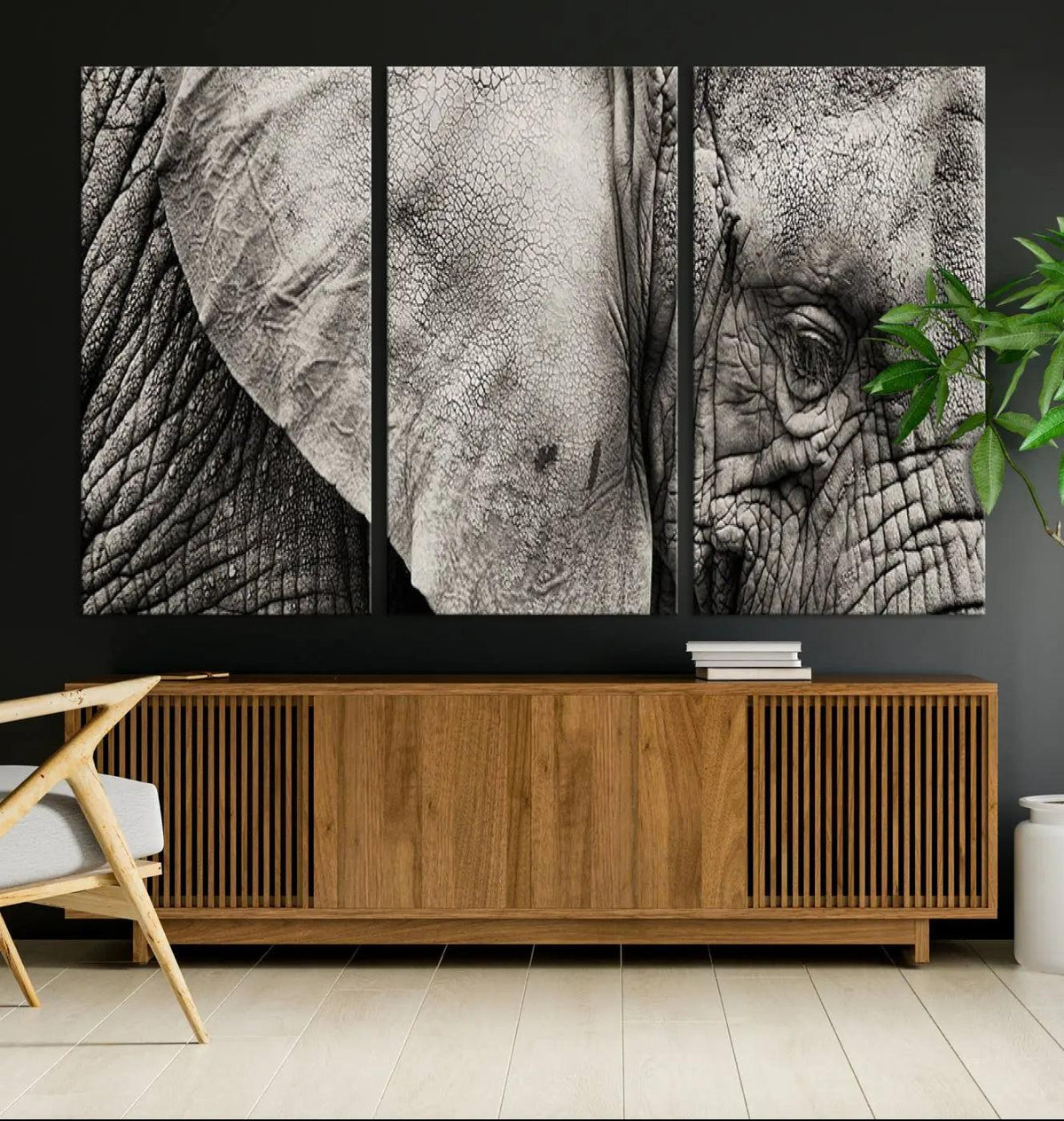 Wall Art Animal Canvas Print Close Taken Elephant with Big