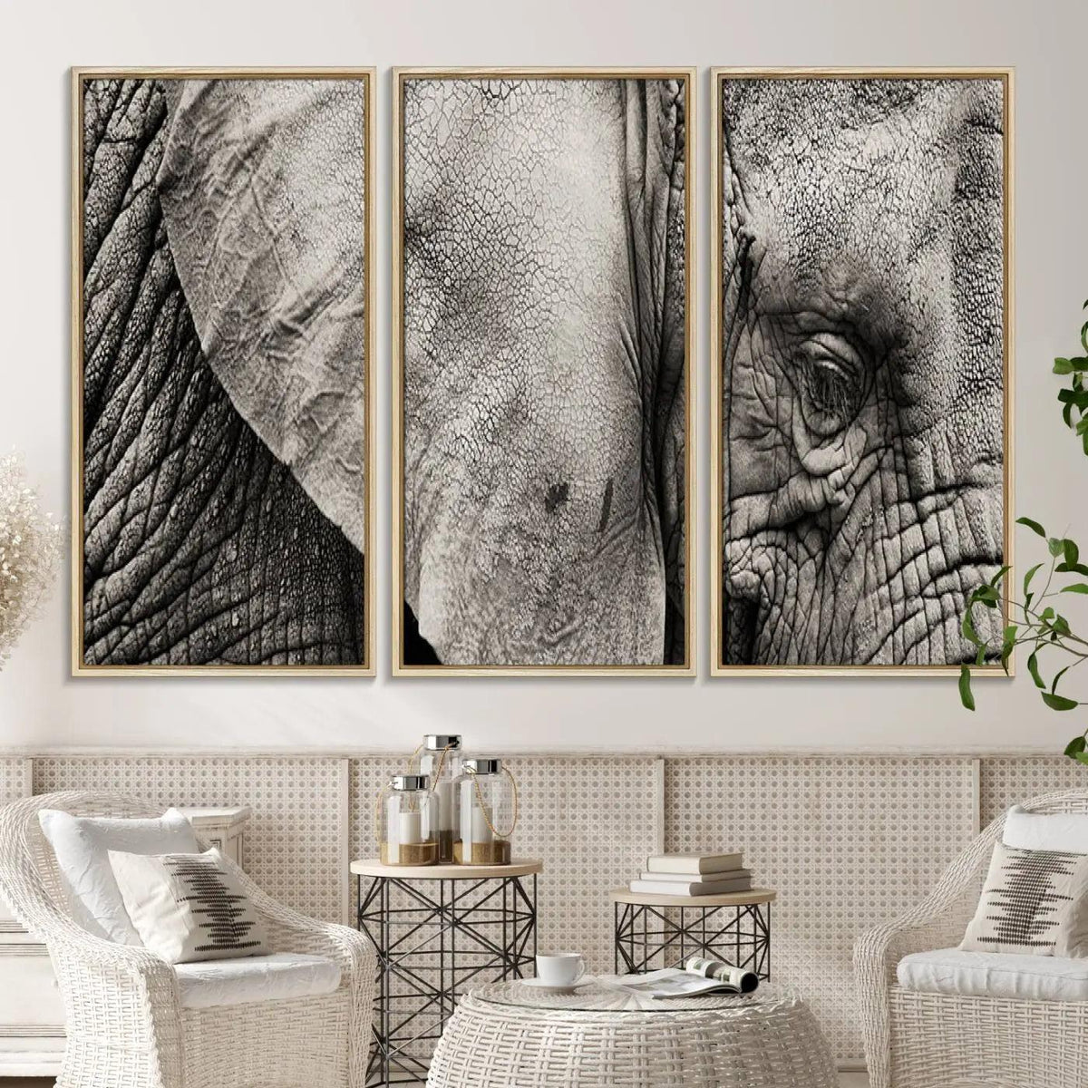 Wall Art Animal Canvas Print Close Taken Elephant with Big