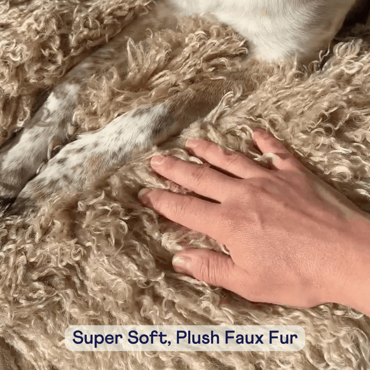 PupRug® Luxe Faux Fur Orthopedic Dog Bed - Plush Sheep Tan