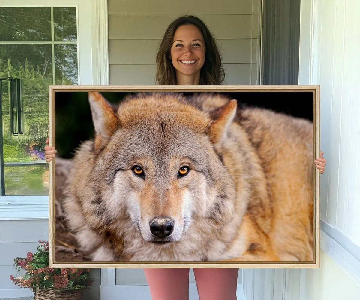 Wild Wolf Wall Art Canvas Print, Framed Canvas Print, Modern