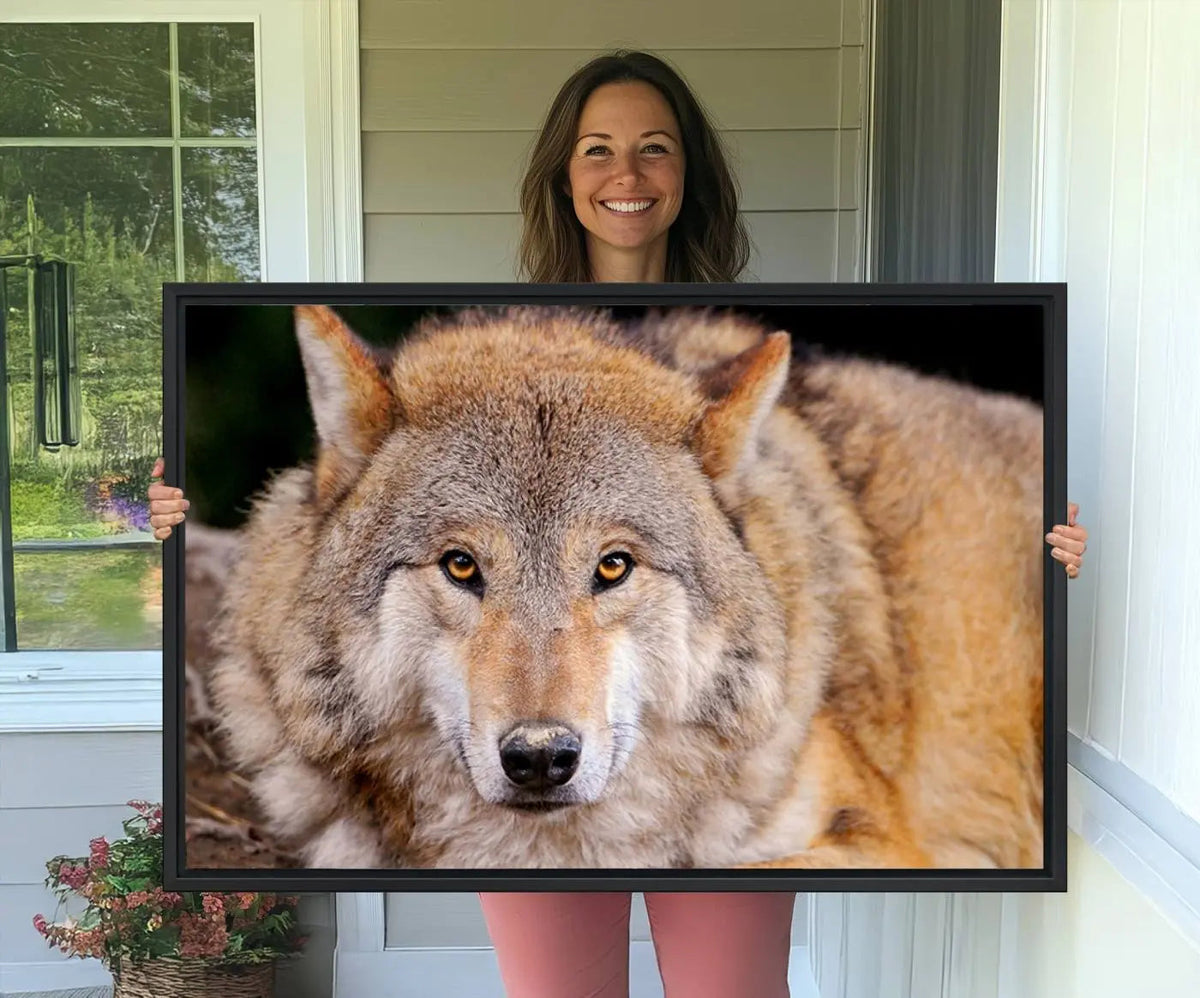 Wild Wolf Wall Art Canvas Print, Framed Canvas Print, Modern