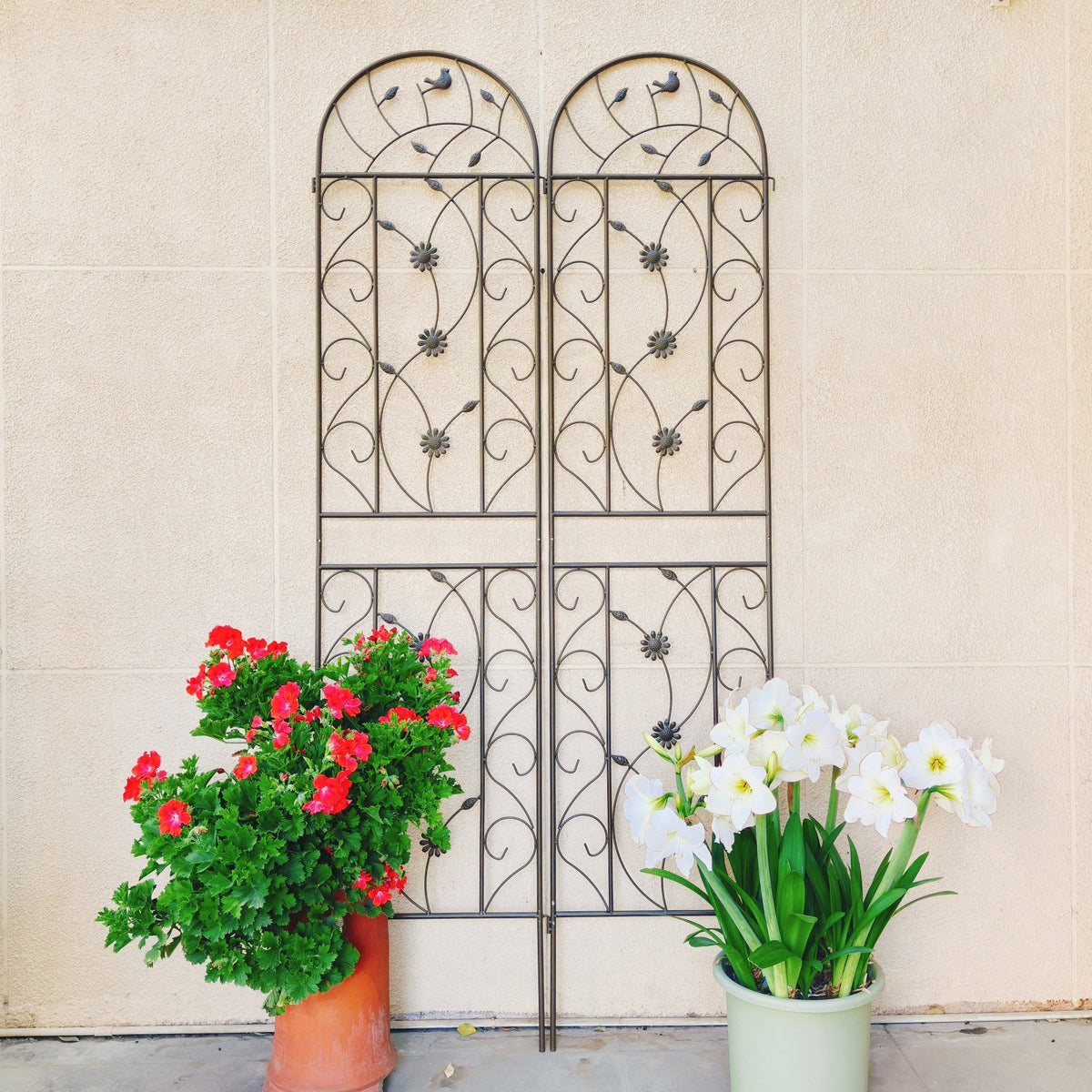 Rustproof Metal Garden Trellis Set with Reliable Plant Support - Brown