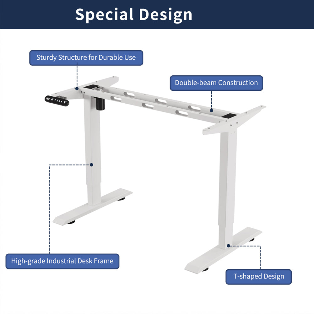 55"×24" Light Electric Standing Desk