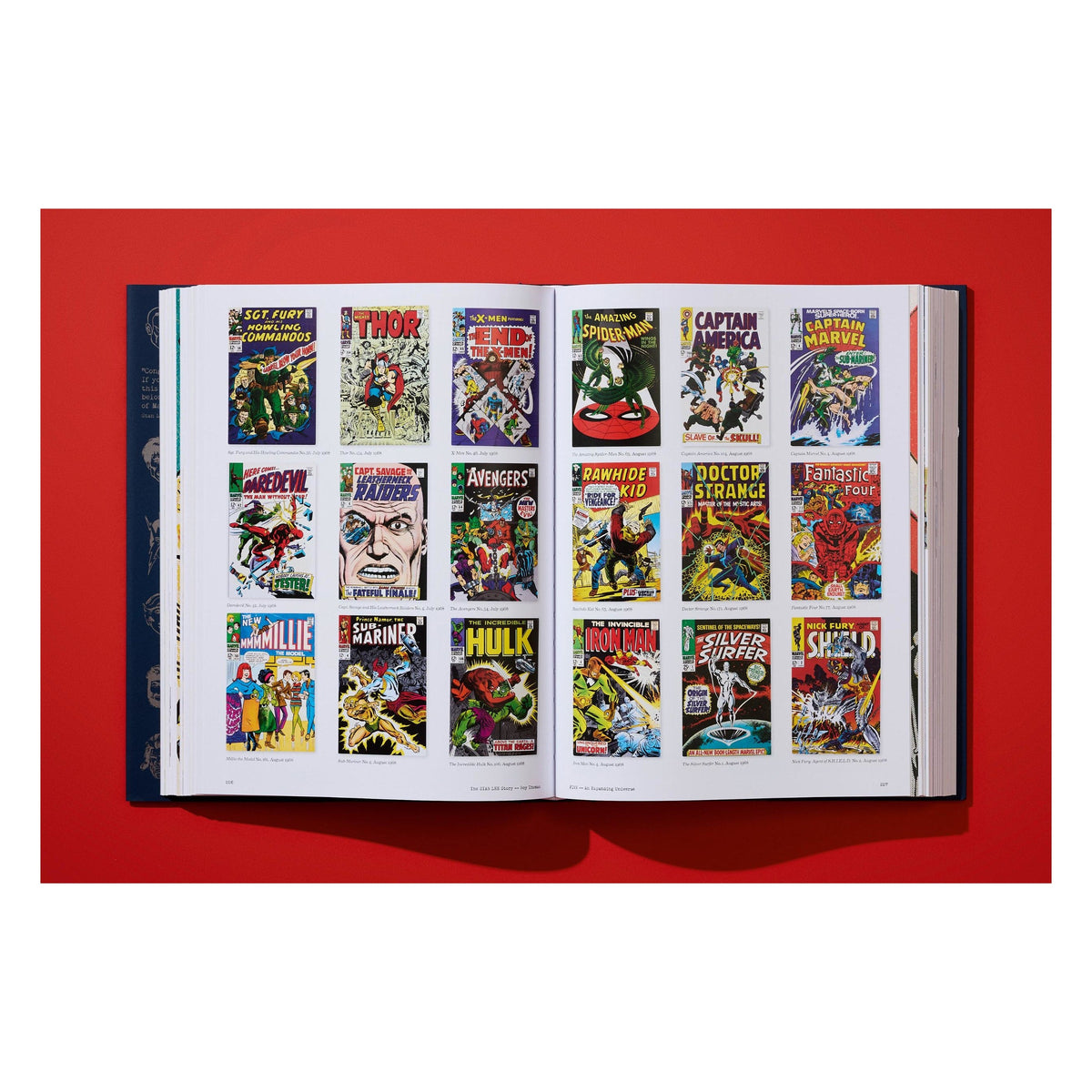 The Stan Lee Story (English)