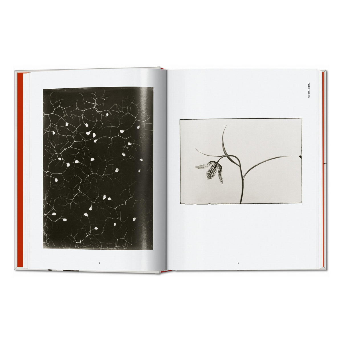 Karl Blossfeldt. The Complete Published Work. 45th Ed. (German, French, English)