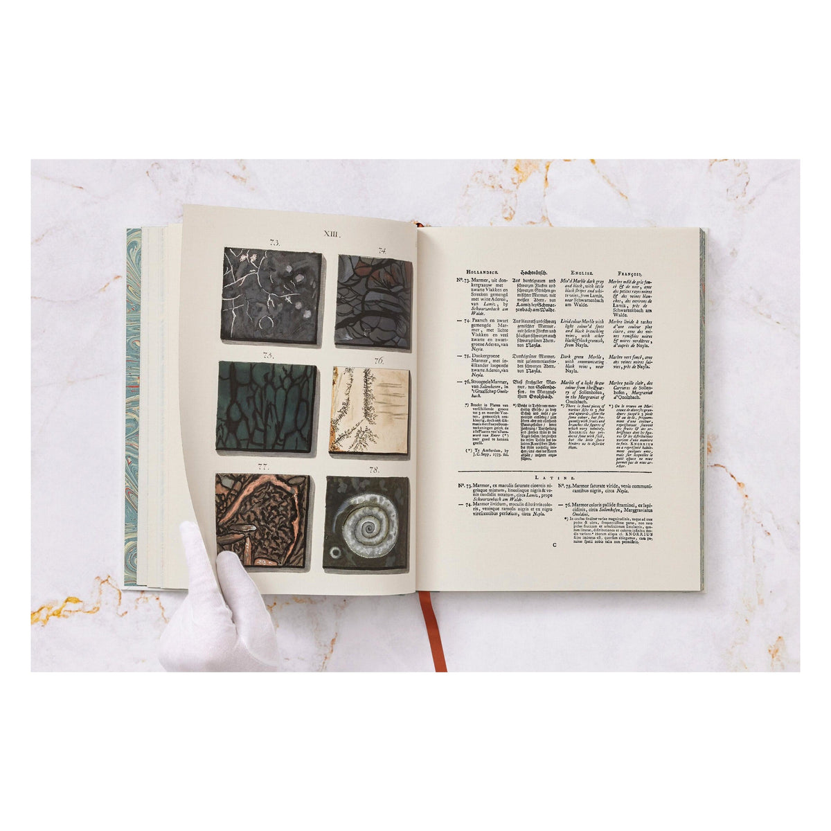 Jan Christiaan Sepp. The Book of Marble (German, French, English) (FFE)