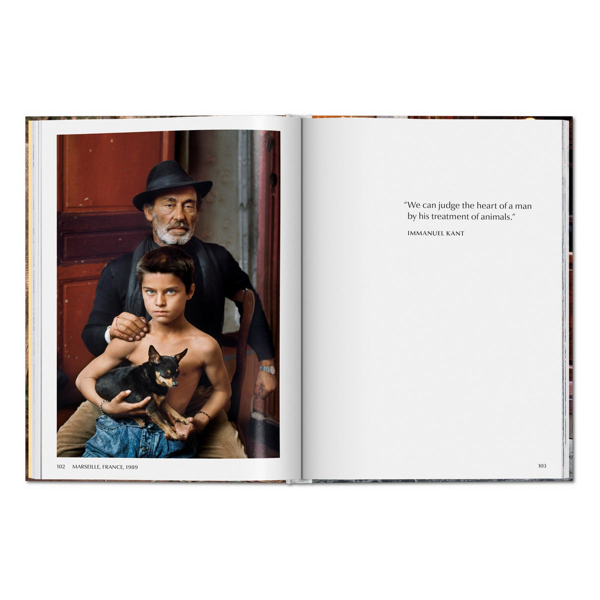 Steve McCurry. Animals (English)