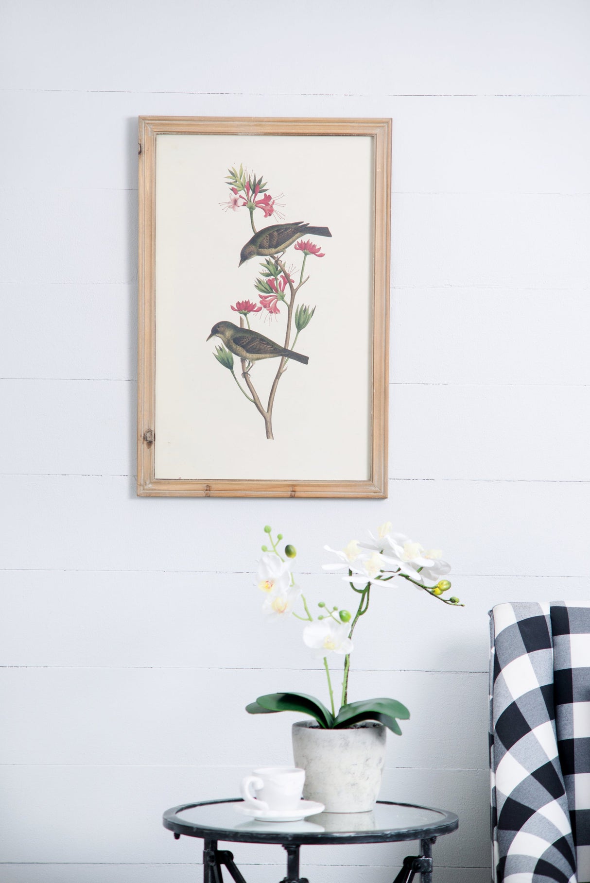 Set of 4 Bird Framed Prints