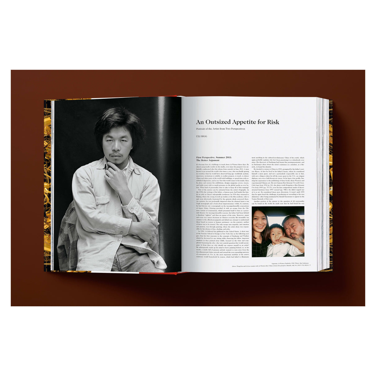 Ai Weiwei. Updated Edition (German, French, English)