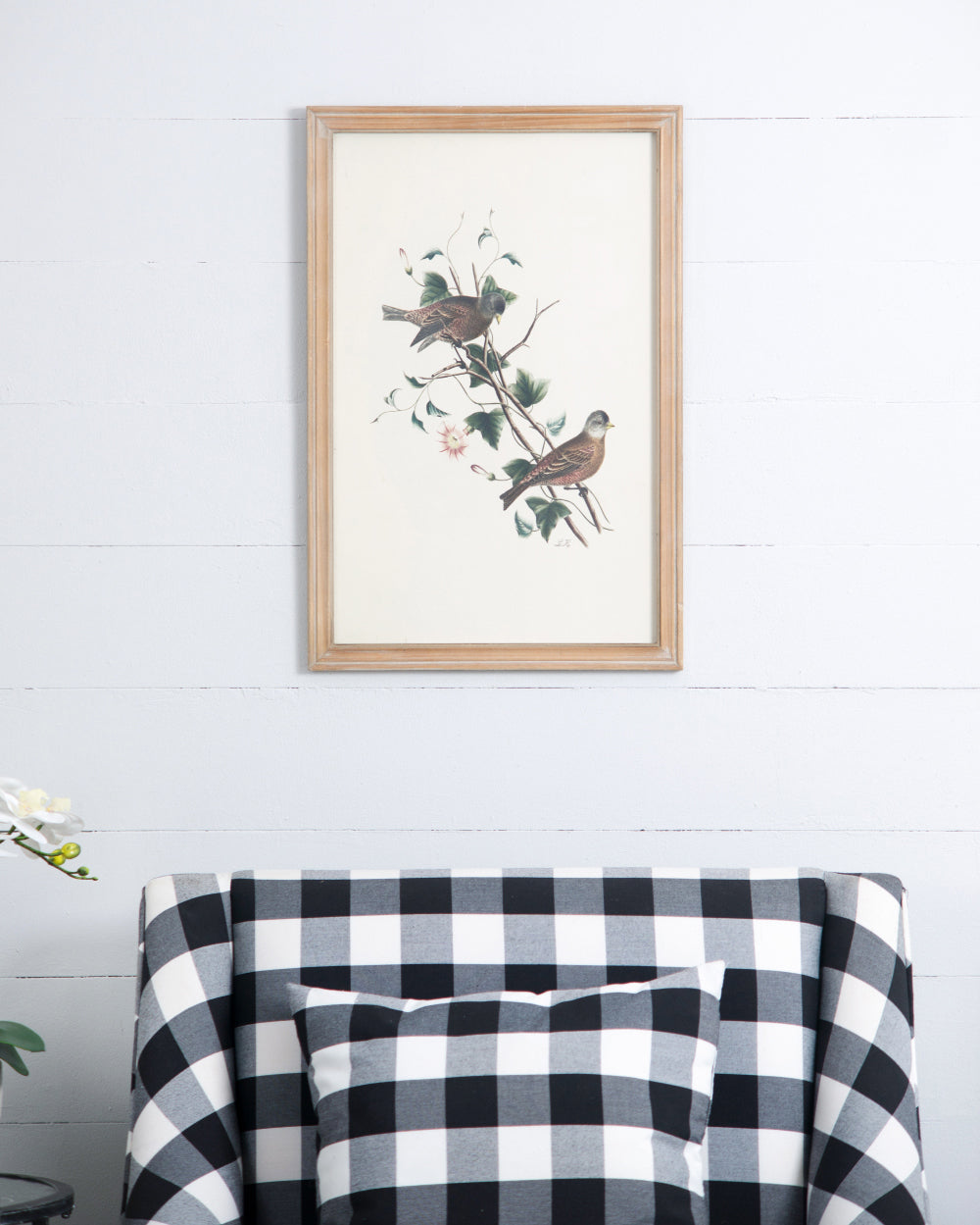 Set of 4 Bird Framed Prints