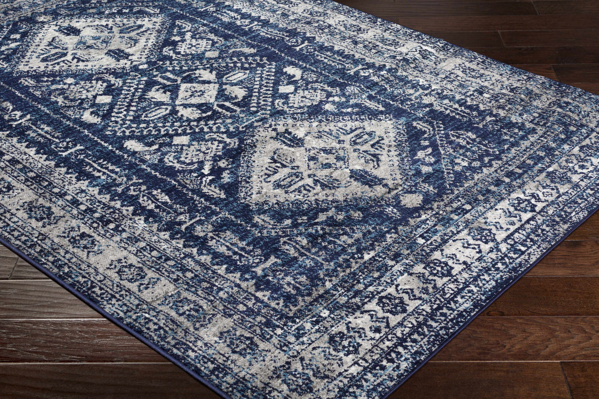 Andes Blue Area Rug